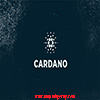 Cardano (ADA) coin là gì? Có nên đầu tư Cardano năm 2018 không?